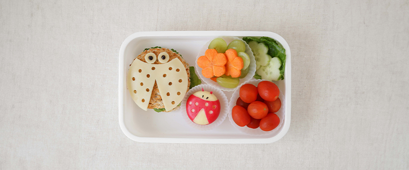 Brain and Health Boosting Lunchboxes | Babyshop